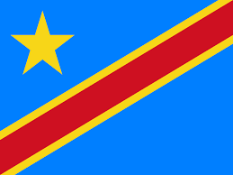 Chambre Internationale de Commerce, d’industrie et d’investissement en Republique Democratique du Congo